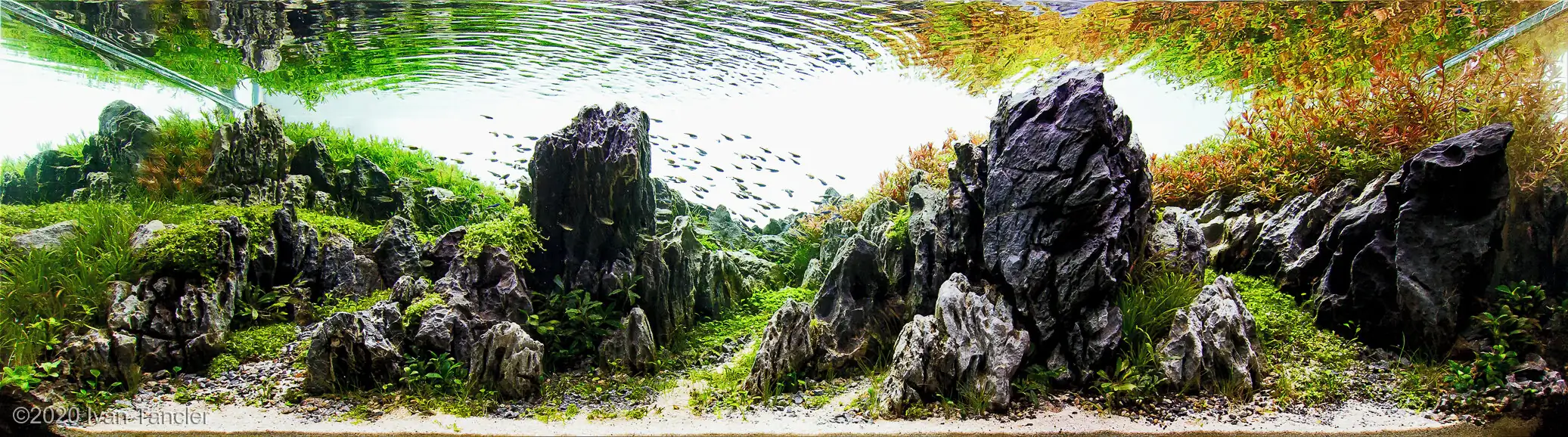 The Majestic Towers in Autumn